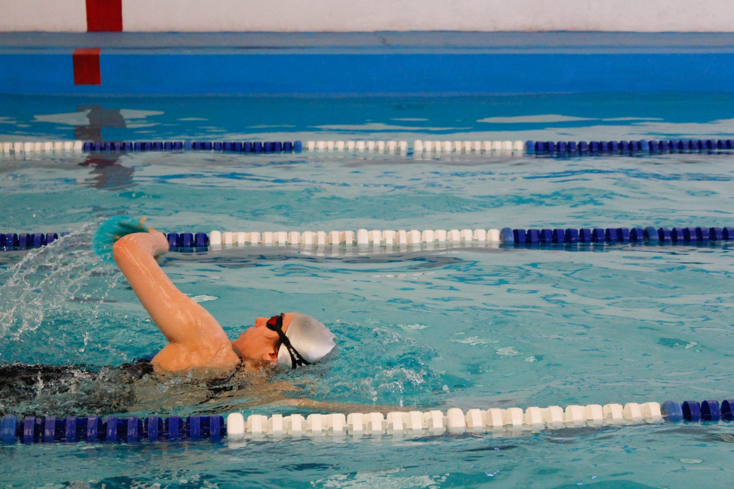 Natación adulto